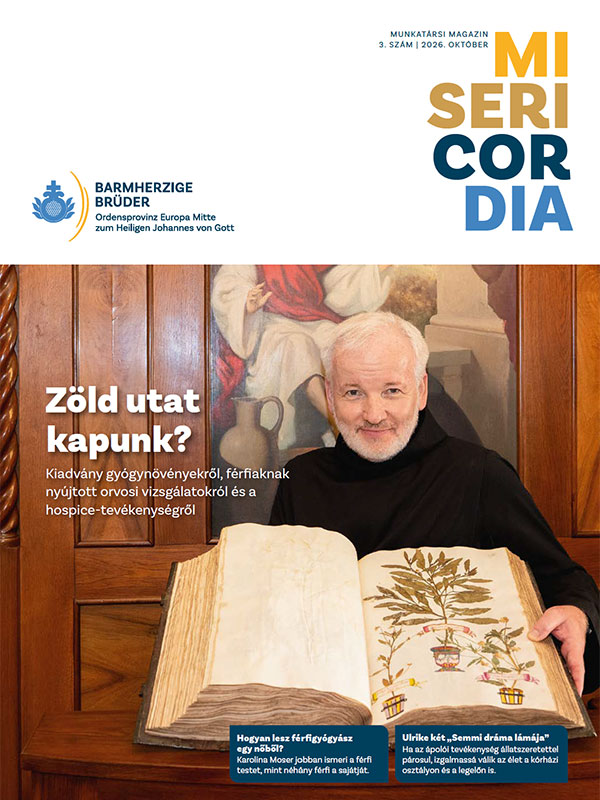 Das Bild ist ein Link zum Artikel.