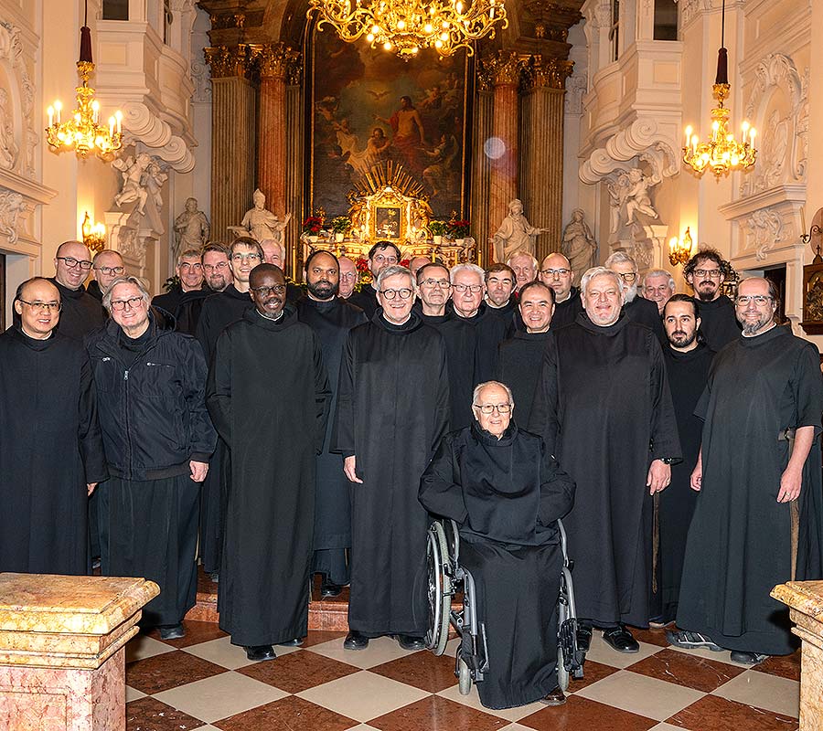 Das Bild zeigt alle während des Kapitels in Wien anwesende Brüder.